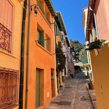 Appartement Dans Le Quartier Recherche Du Moure Collioure Exterior photo