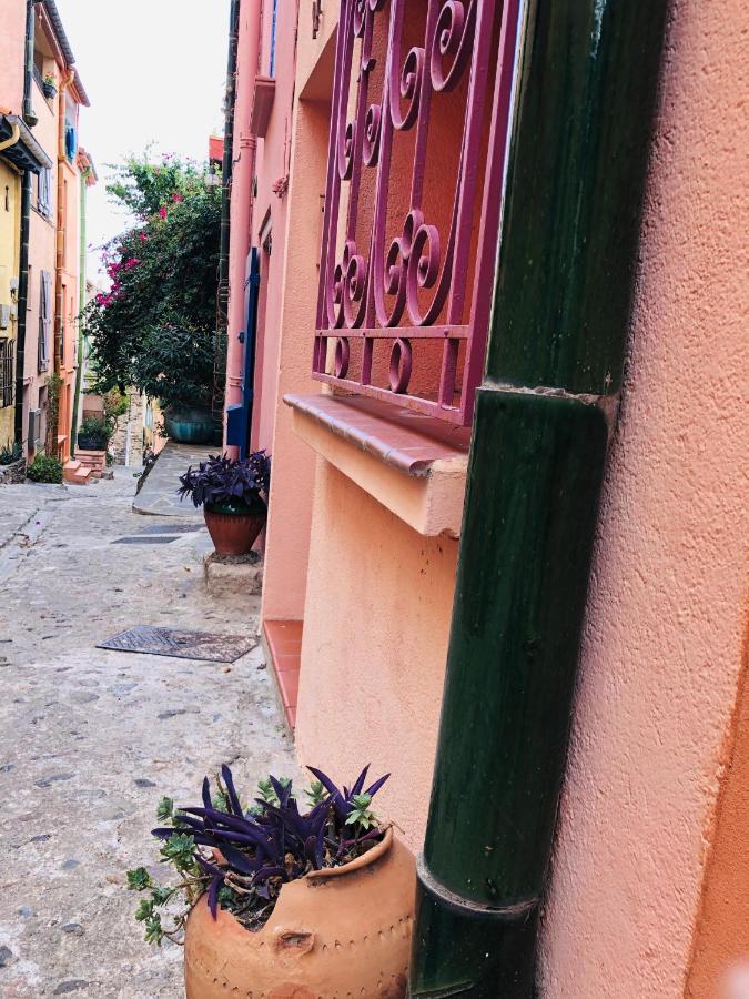 Appartement Dans Le Quartier Recherche Du Moure Collioure Exterior photo